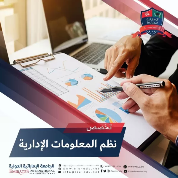 برنامج نظم المعلومات الإدارية Management Information Systems