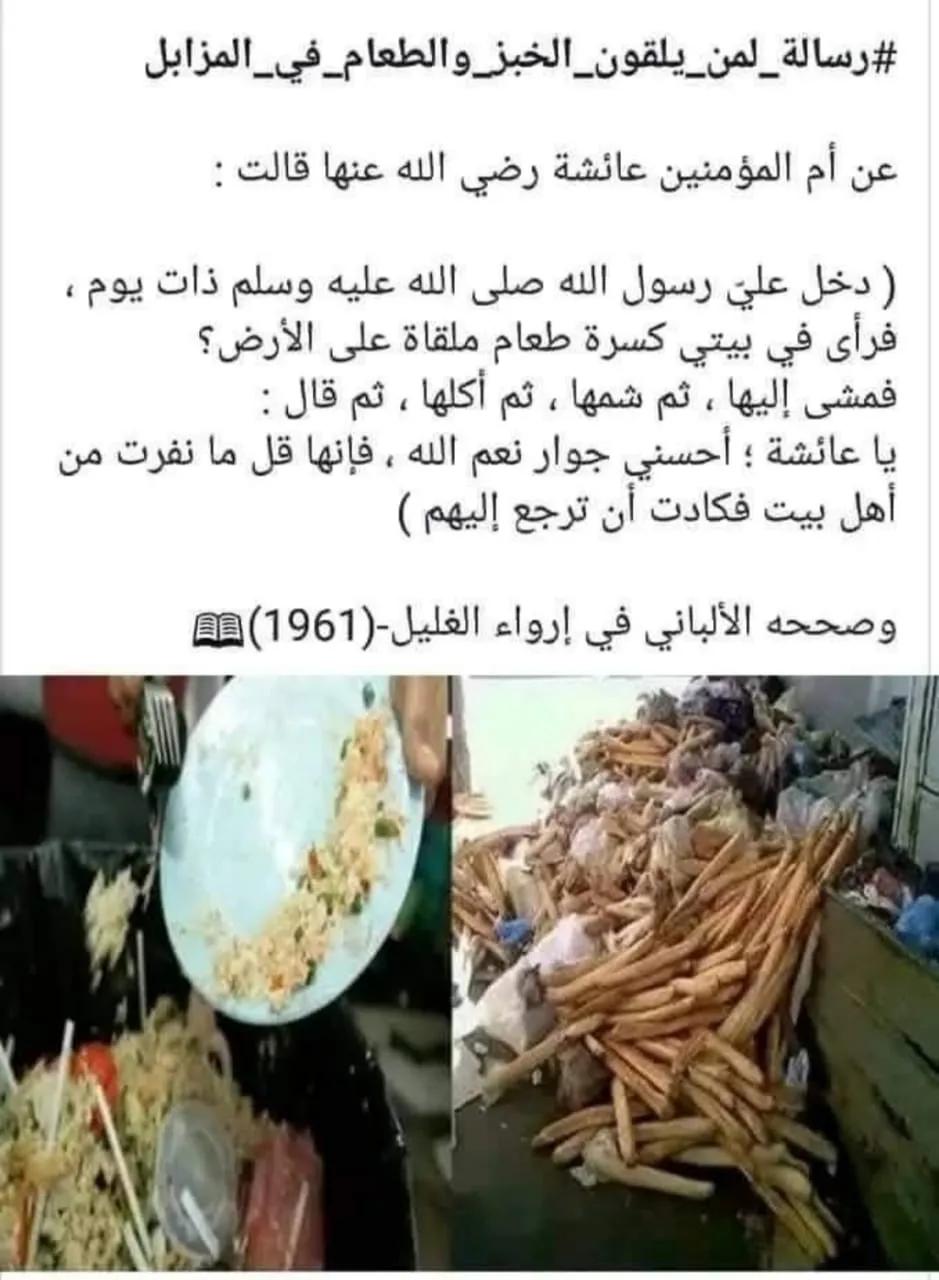 بريادة وإبتكار.. طلاب من الجامعة الإماراتية الدولية يبتكرون نظام لإدارة المشاريع الإنشائية NovaTrack