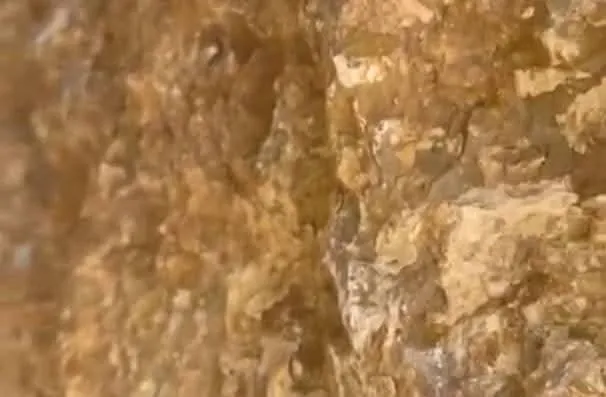 طلاب قسم النفط والغاز ينفذون رحلة جيولوجية علمية لتعزيز التعليم التطبيقي