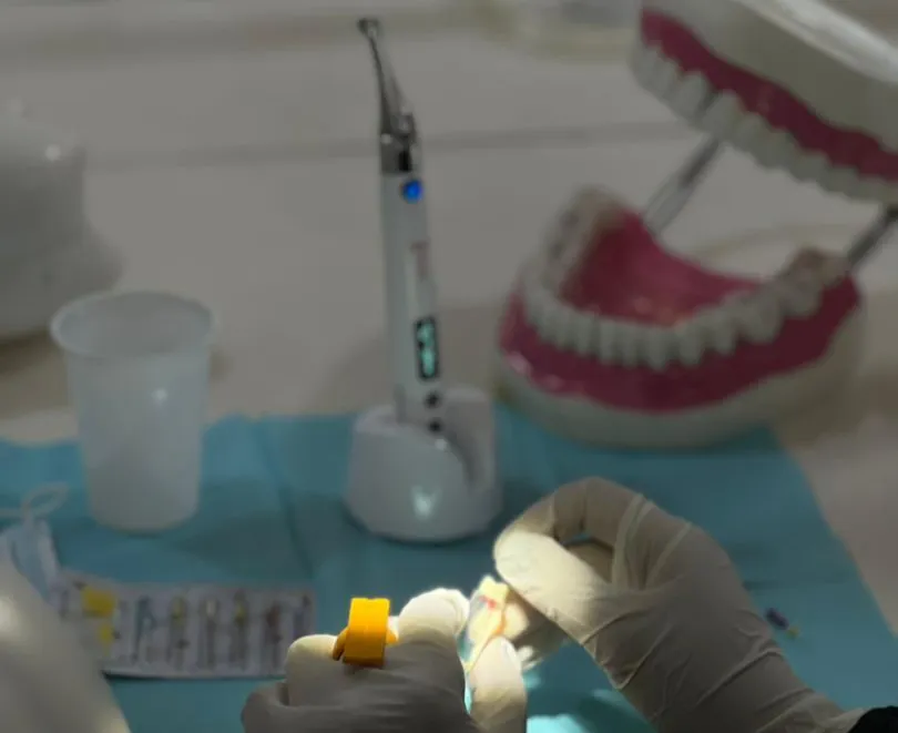 كلية طب الأسنان بالجامعة الإماراتية تختتم دورة متقدمة في تقنية الروتري لعلاج الجذور