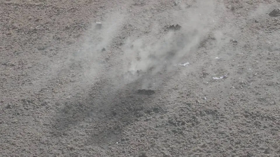 “The Martyr of the Quran Batch”... A joint military exercise and field maneuver for students of the Emirates International University and Tuntech University embodies readiness and national responsibility