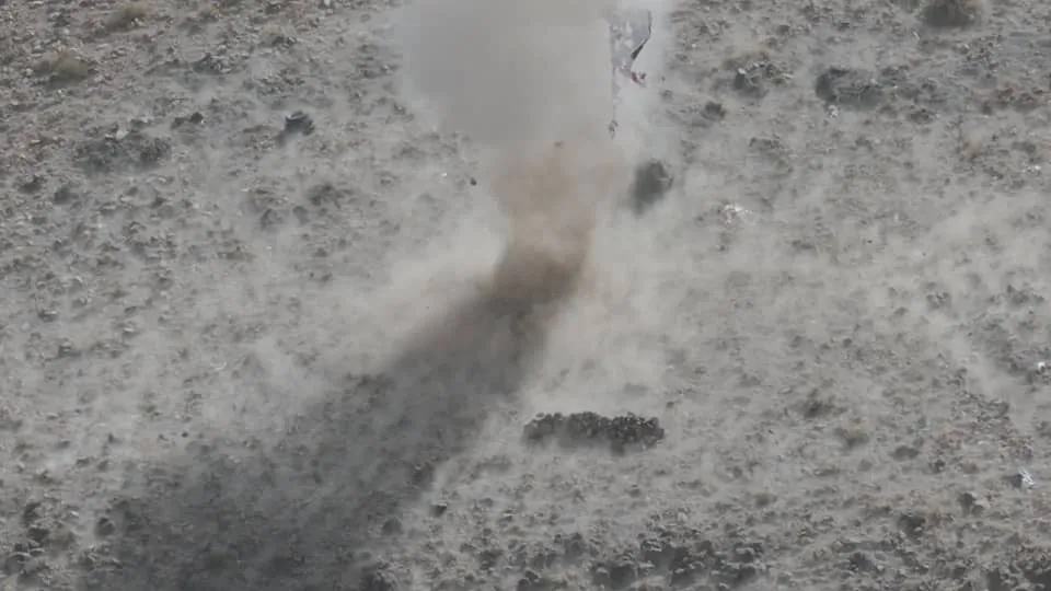 “The Martyr of the Quran Batch”... A joint military exercise and field maneuver for students of the Emirates International University and Tuntech University embodies readiness and national responsibility