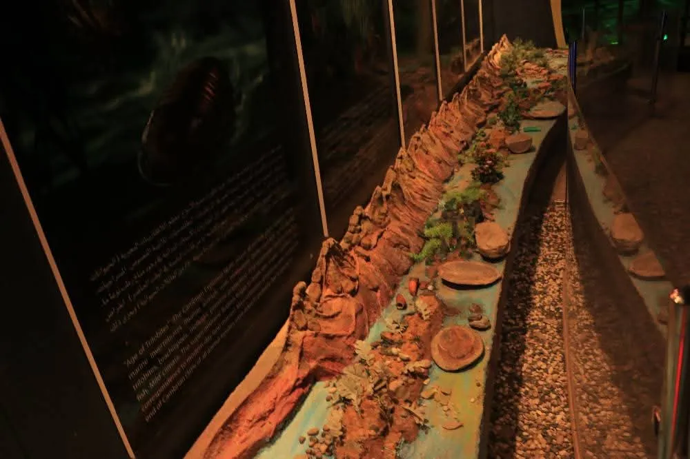 A high-quality field visit for first-year petroleum and gas engineering students to the Yemeni Geological Museum to enhance their practical and theoretical knowledge.