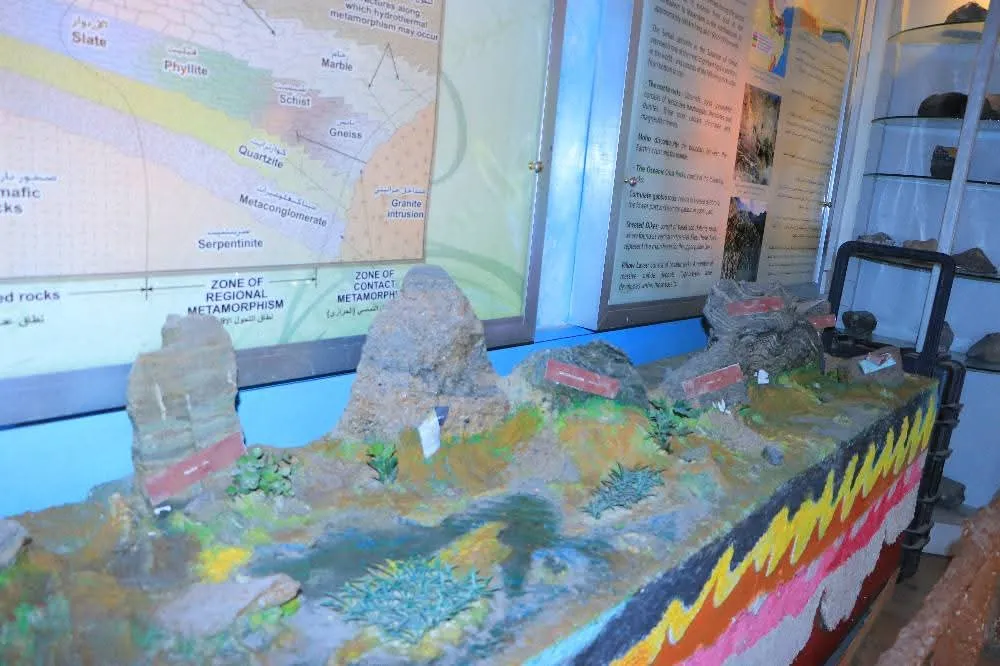 A high-quality field visit for first-year petroleum and gas engineering students to the Yemeni Geological Museum to enhance their practical and theoretical knowledge.