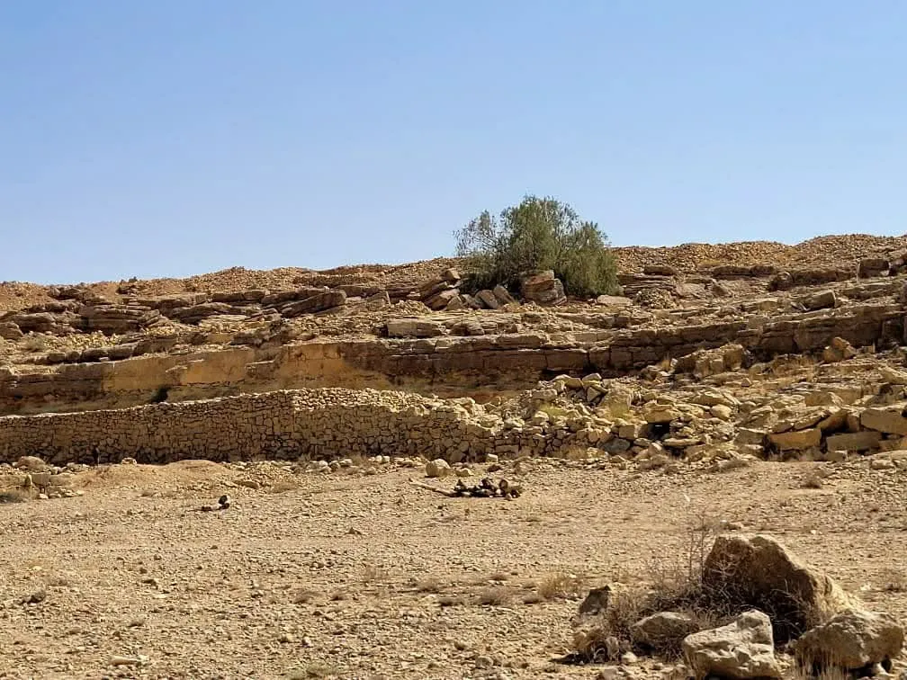 الجامعة الإماراتية الدولية تنظم رحلة جيولوجية ميدانية لطلبة قسم النفط والغاز لتعزيز الجانب التطبيقي